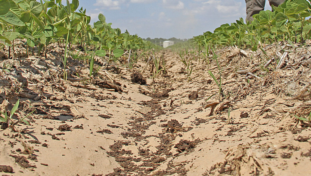 Right to Farm Tennessee Farmers Fight Chicken Litter Ban Ag